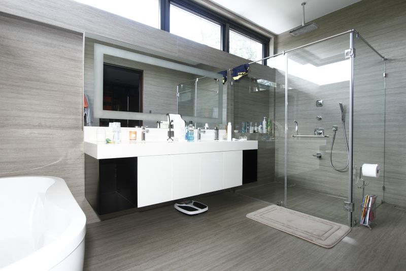 Modern Shower Areas